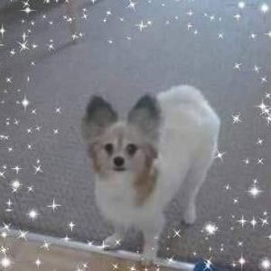 Meet your Posher, Ann